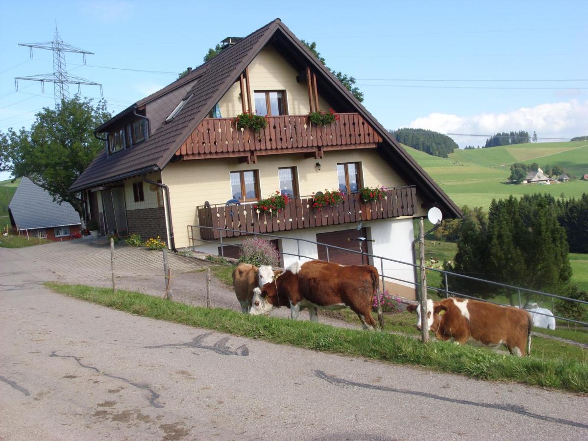 Duerrenbartleshof Apartment Breitnau Exterior photo